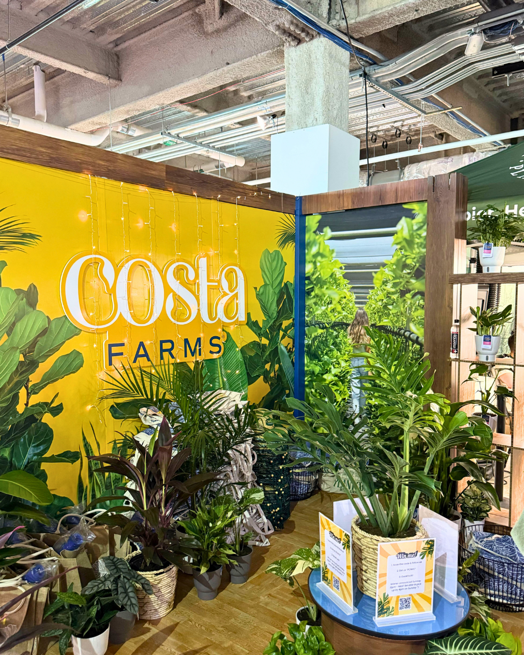 A booth with a bright yellow “Costa Farms” backdrop and a variety of green plants at PlantCon NYC 2025.