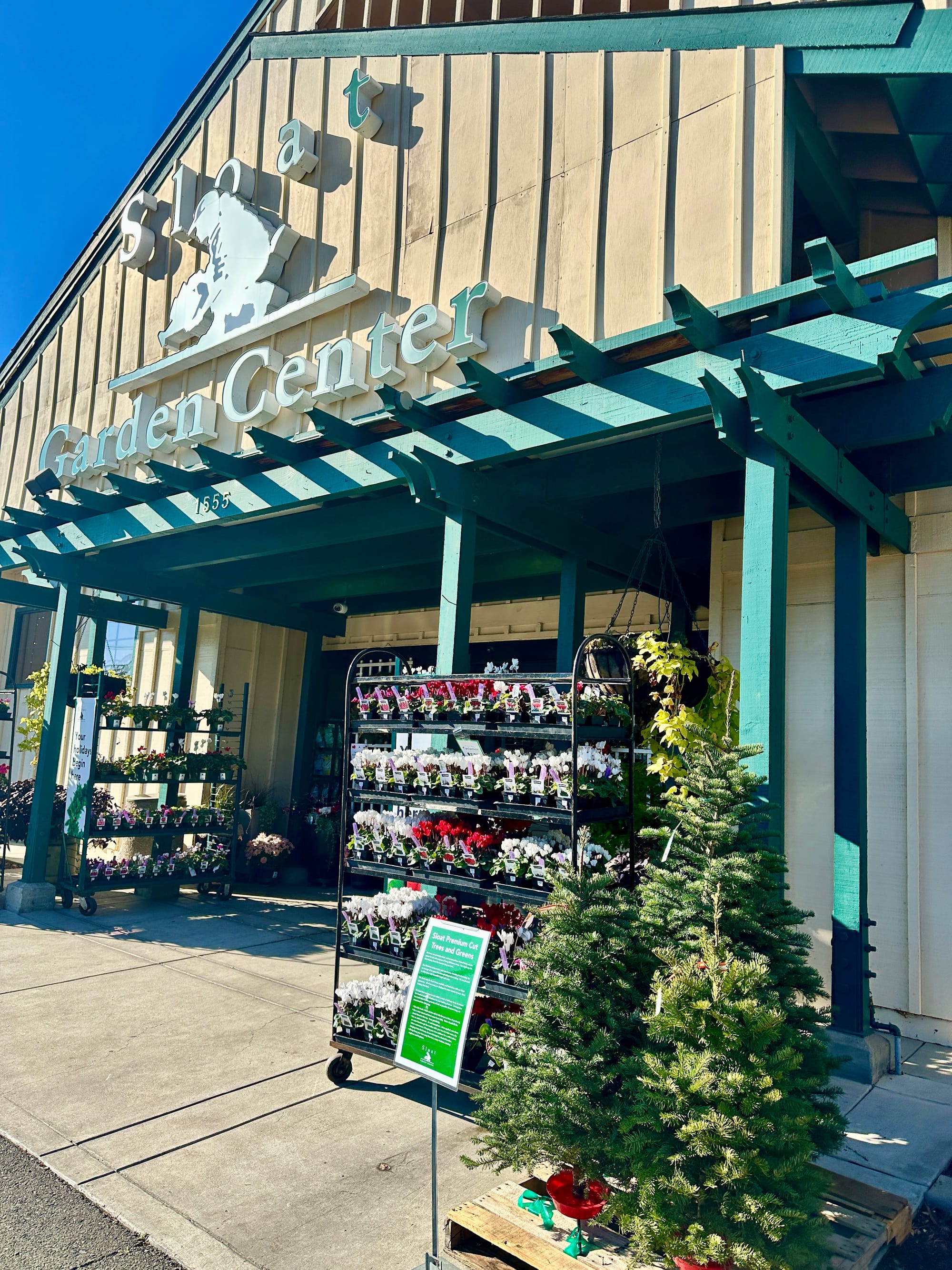Outdoor display at Sloat Garden Center featuring small Christmas trees, colorful flowers, and rolling plant racks near the storefront.