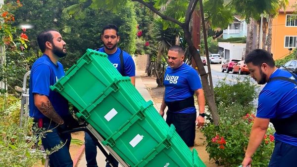 7 Eco-friendly moving tips: how to move with less waste