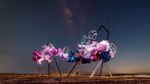 Unmissable Art & Culture Events in Riyadh This Fall