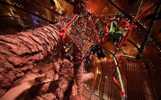 Baseqat at Ithra: A Design-Led Tribute to the Date Palm