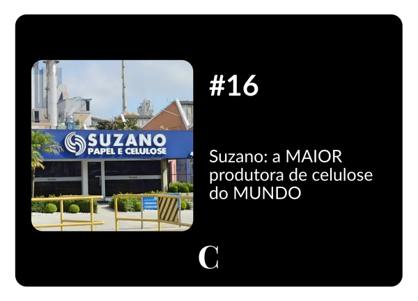 #16 - Suzano: a MAIOR produtora de celulose do MUNDO