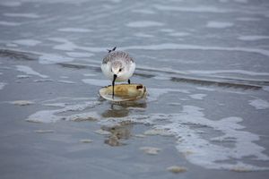 The Life List & the Self