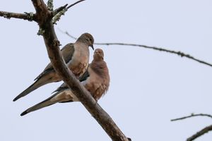 Spring! It has sprung!