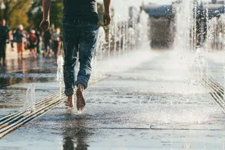 3 Quick Ways to Get Your Urban Nature Fix