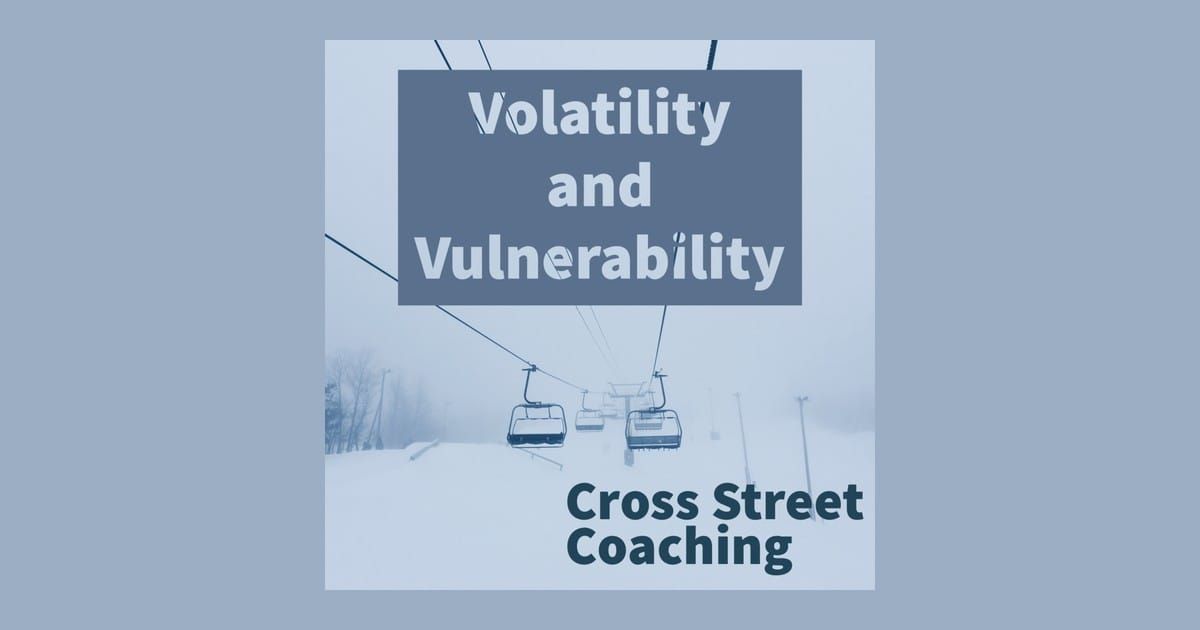 S1E03: Volatility and Vulnerability