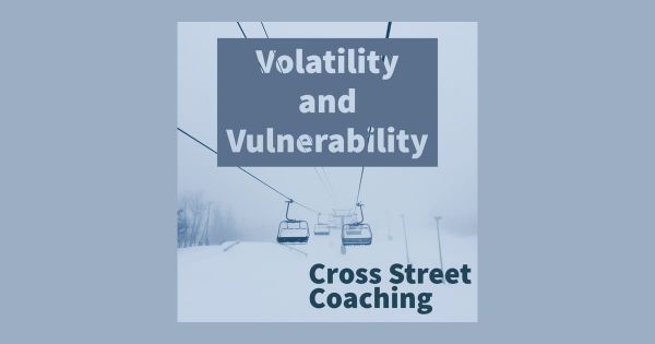 S1E03: Volatility and Vulnerability