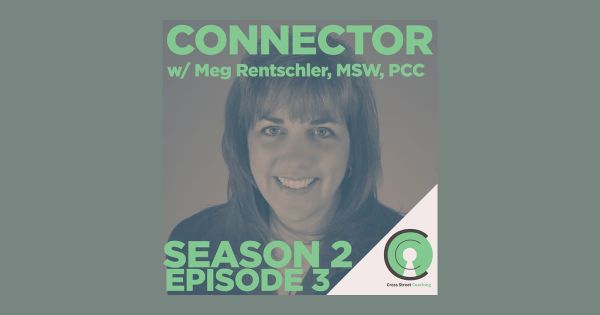 S2E03: Connector