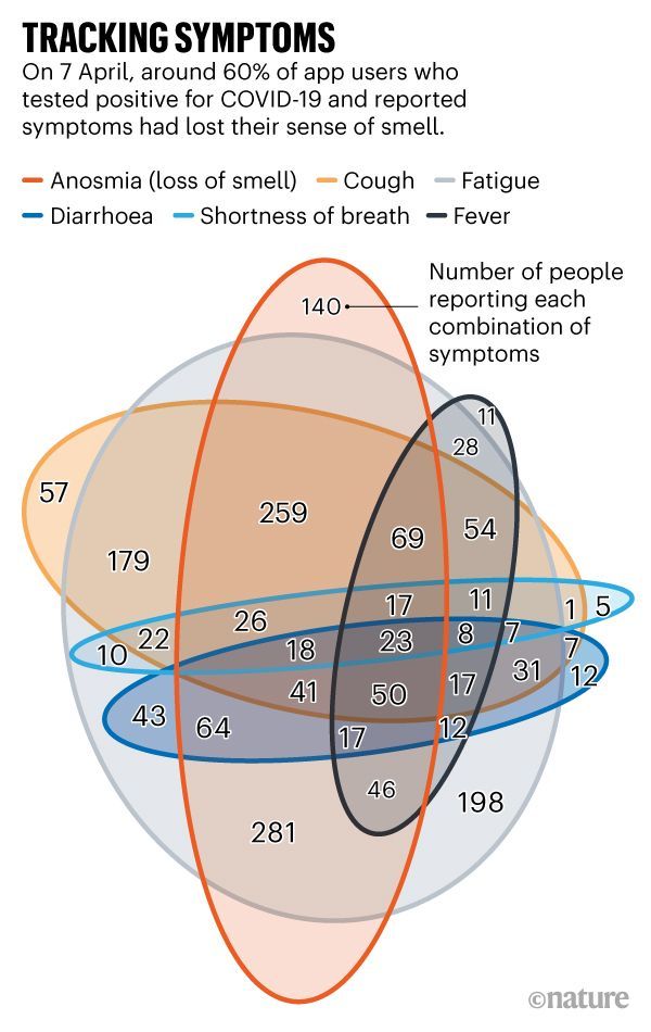 This exercise plan for your lock-down work-out is inspired by Venn
