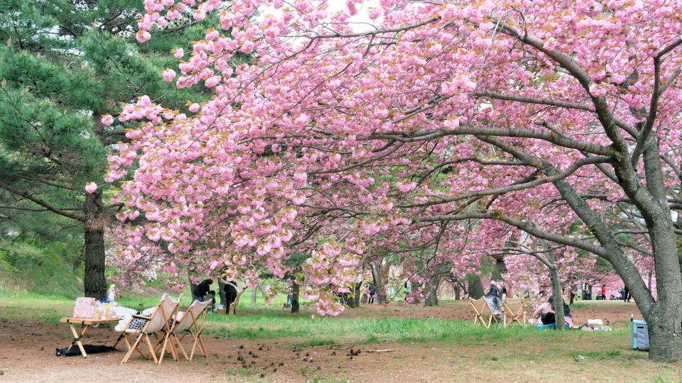 Notes on vibe coding 2