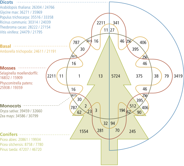 Some chart types are not scalable