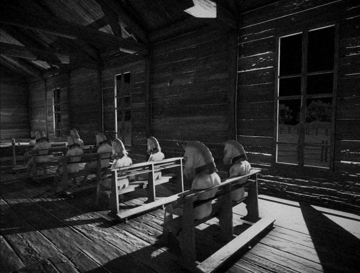 HORSES (PC): A Bluntly Buñuelian Attack on Authoritarianism