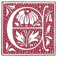 Photo image of illustration of a decorative capital letter E