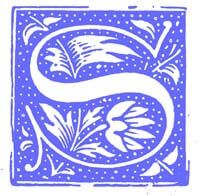 Photo image of illustration of a decorative capital letter S