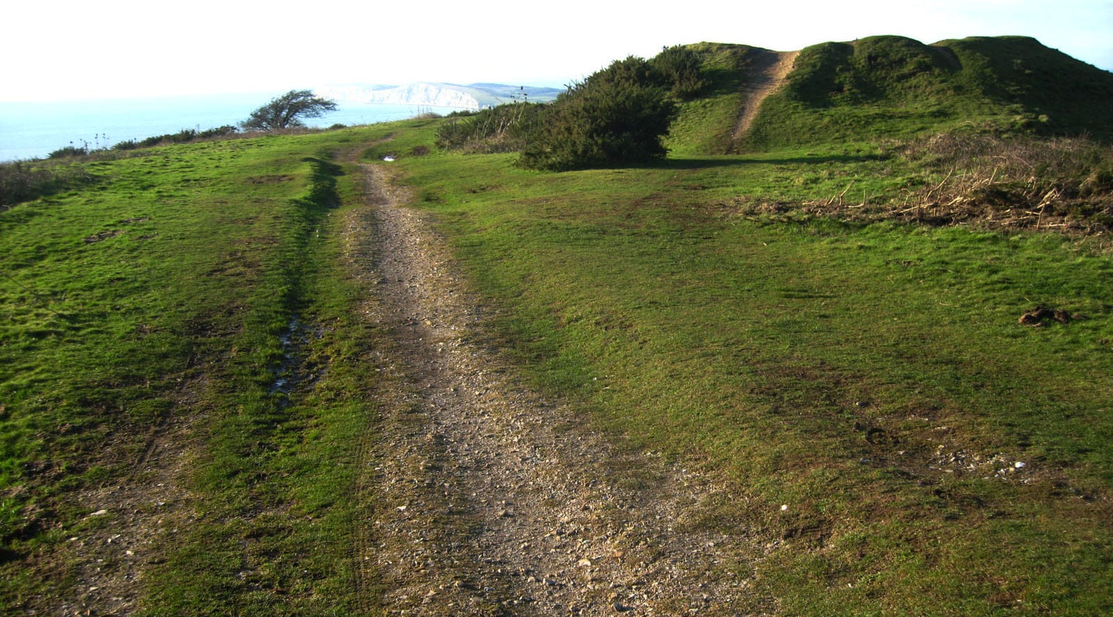 Photo of view from Brook Down, among the Isle of Wight Neolithic barrows