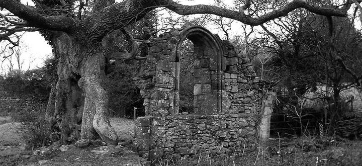 Photo image of window, old Quarr Abbey. Quarr, Isle of Wight.