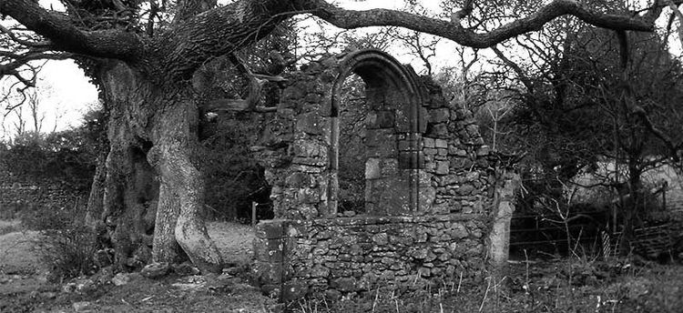 Photo image of window, old Quarr Abbey. Quarr, Isle of Wight.