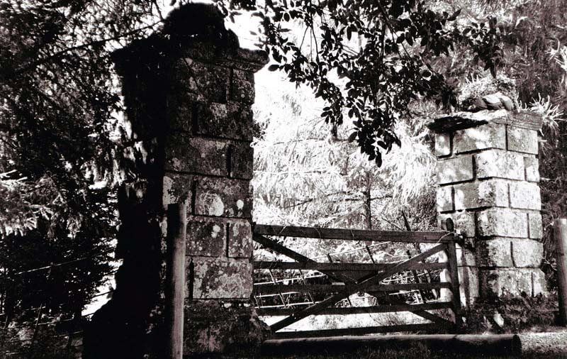 Photo image of Knighton Gorges gateposts. All that remain of the island's finest house.