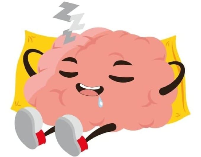Sommeil et cerveau : quel lien avec Alzheimer, Parkinson et la mémoire ?
