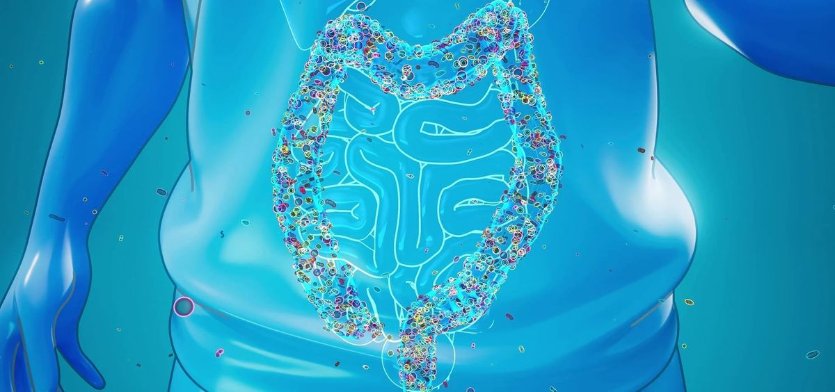 Tryptophane et microbiote intestinal : un axe au coeur de l'immunité et de la santé