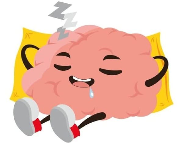 Sommeil et cerveau : quel lien avec Alzheimer, Parkinson et la mémoire ?