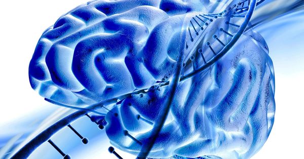 Microbiote et dépression : quand une bactérie intestinale influence nos hormones