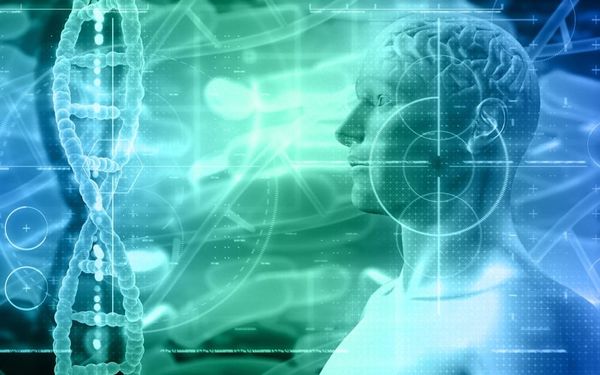 Microbiote intestinal et mémoire : comment l'intestin influence nos apprentissages