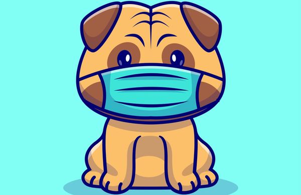 Des chiens peuvent-ils détecter un cancer du poumon à l’odeur ? Ce que montre vraiment une nouvelle étude