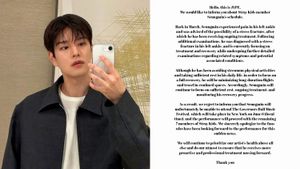 Stray Kids Member Seungmin to Miss Governors Ball Amid Ankle Fracture Recovery