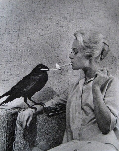A raven holds a match that Tippi Hedren uses to light her cigarette in a promo for Alfred Hitchcock's 'The Birds,' 1963.