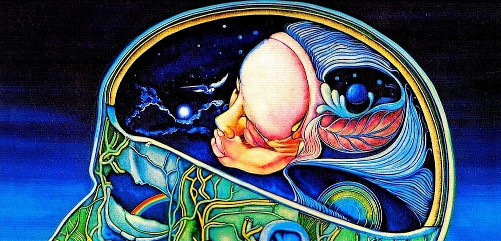 Surprising Cutaway Views of Human Heads