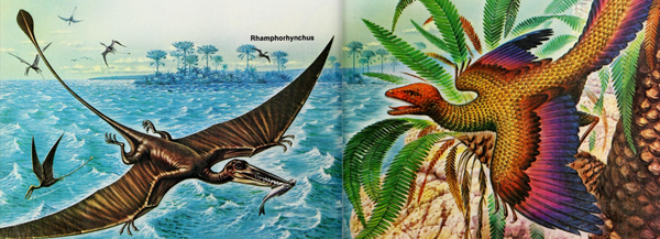 Childcraft's How and Why Library