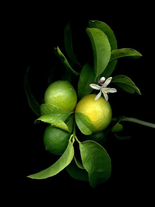 Community newsletter: Wednesday night, and everything after