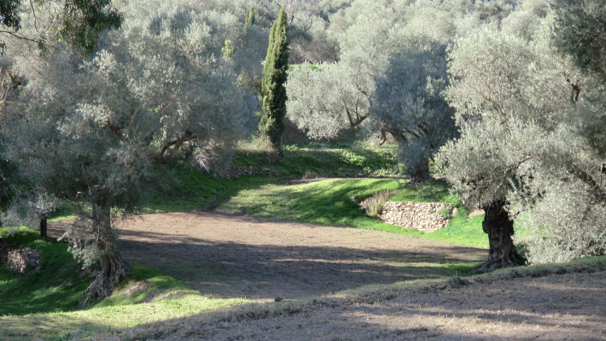 Wowser! Bliss and creativity what a combination.....