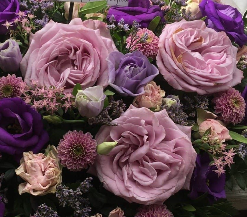 The cycle of life.....