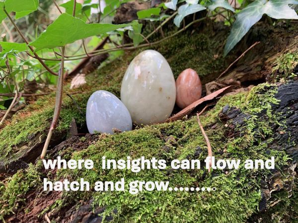 New ventures underway