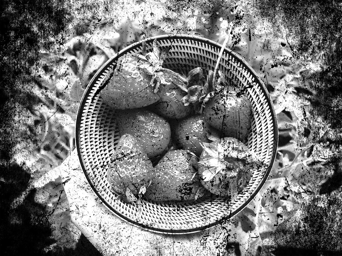 under the full moon, vol. 5 iss. 6