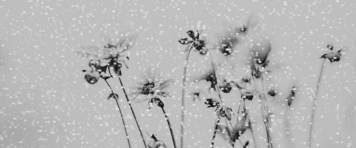 under the full moon, vol. 6 iss. 5