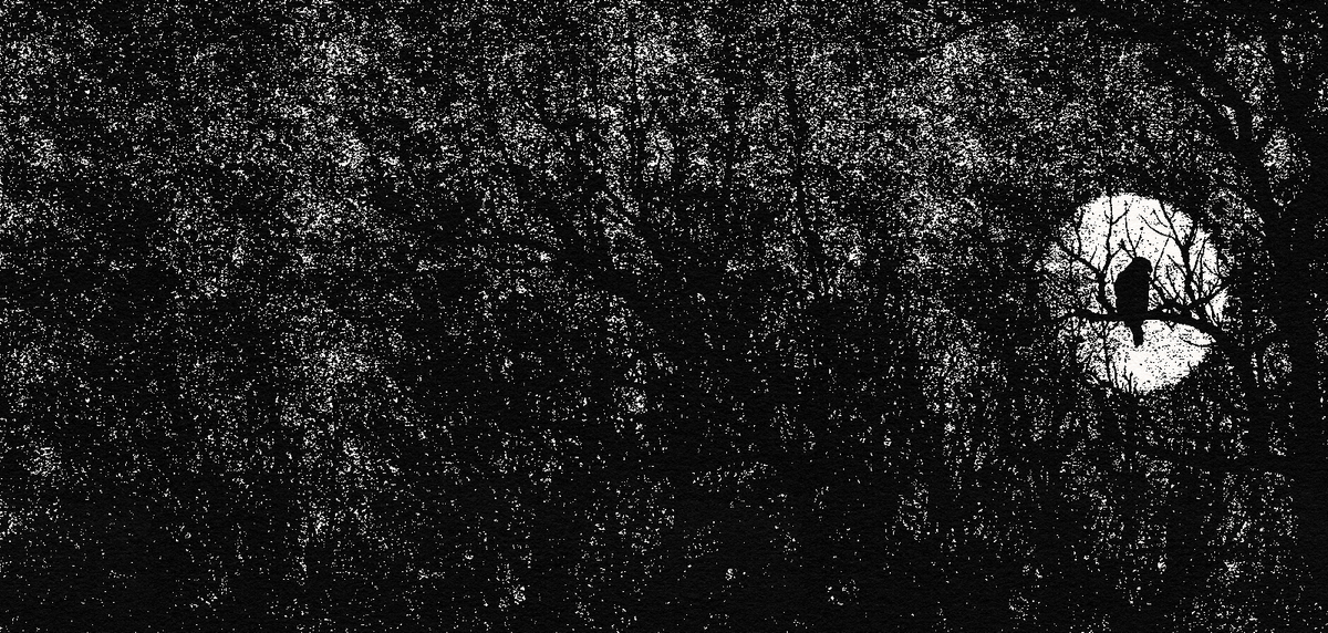 under the full moon, vol. 6 iss. 10