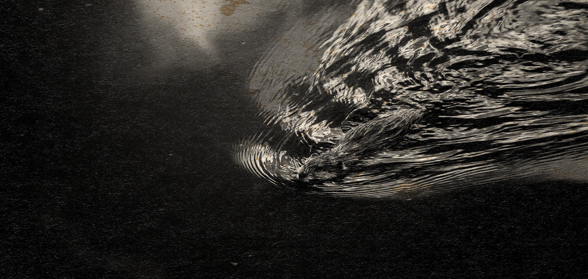 under the full moon, vol. 6 iss. 11