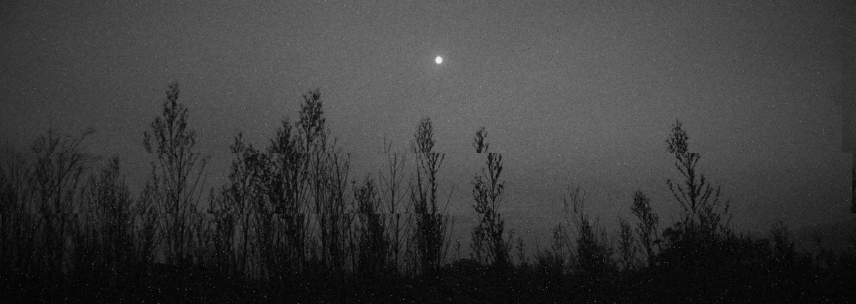 under the full moon, vol. 7 iss. 6
