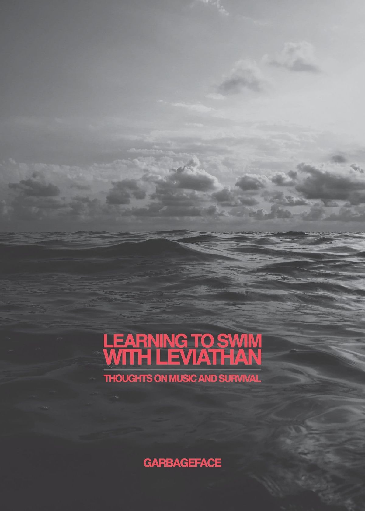Learning To Swim With Leviathan -- front cover