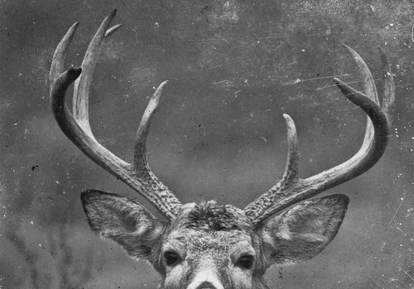 under the full moon, vol. 1 iss. 3