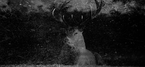 under the full moon, vol. 6 iss. 7