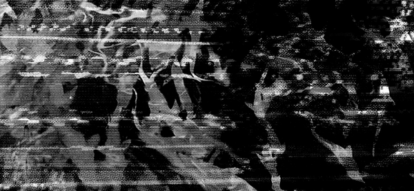 under the full moon, vol. 6 iss. 8