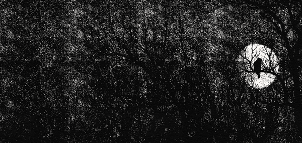 under the full moon, vol. 6 iss. 10