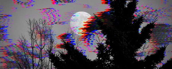 under the full moon, vol. 6 iss. 12