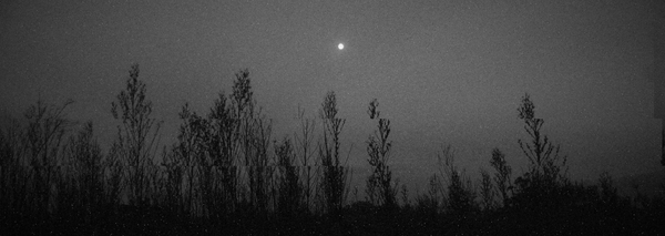 under the full moon, vol. 7 iss. 6