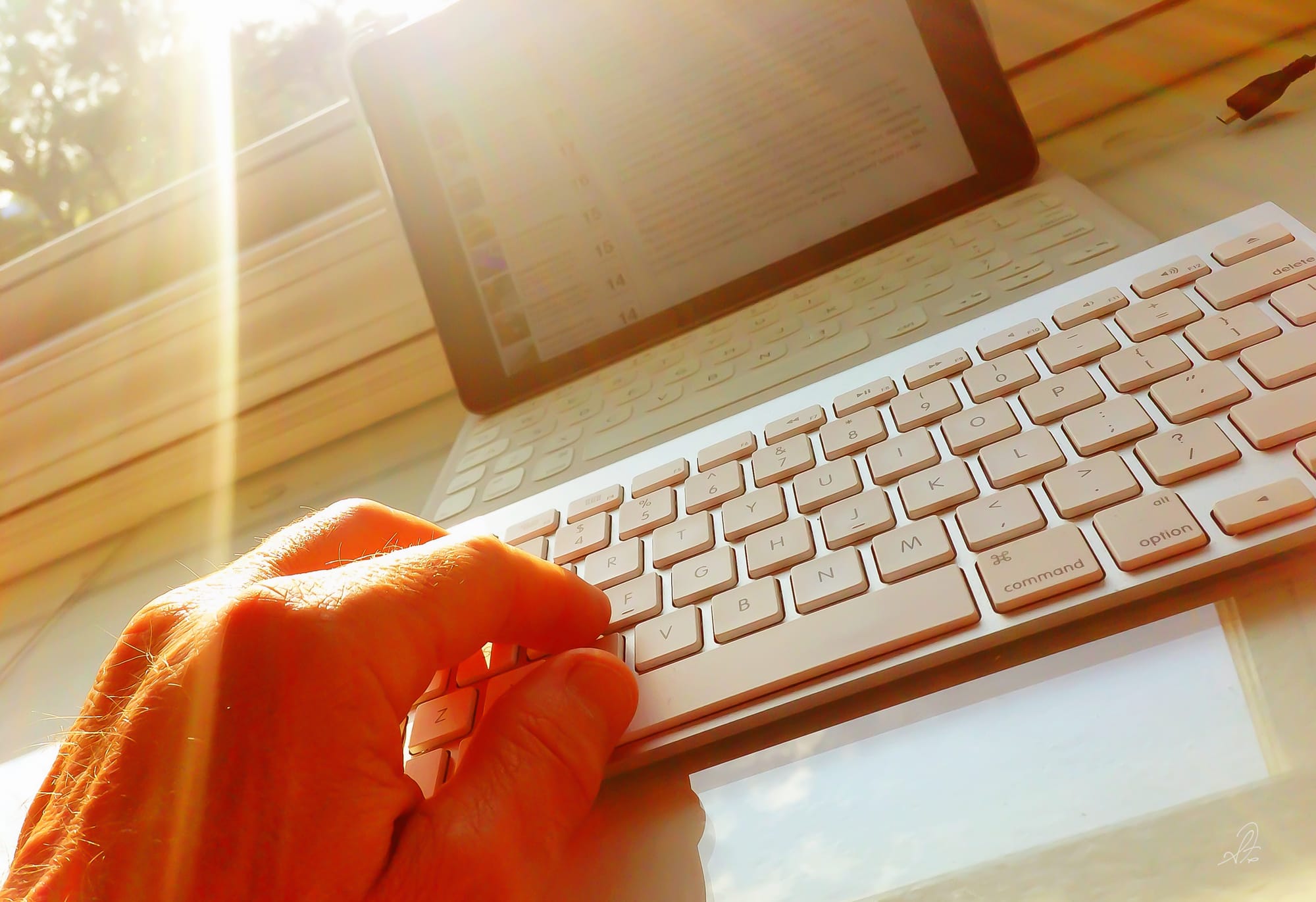 Blogging