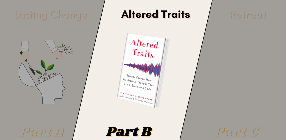 Shutting up Part B: How Meditation rebuilds the Brain